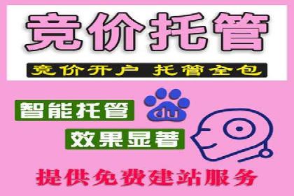 SEM代运营托管公司案例分享：精准营销策略的实践